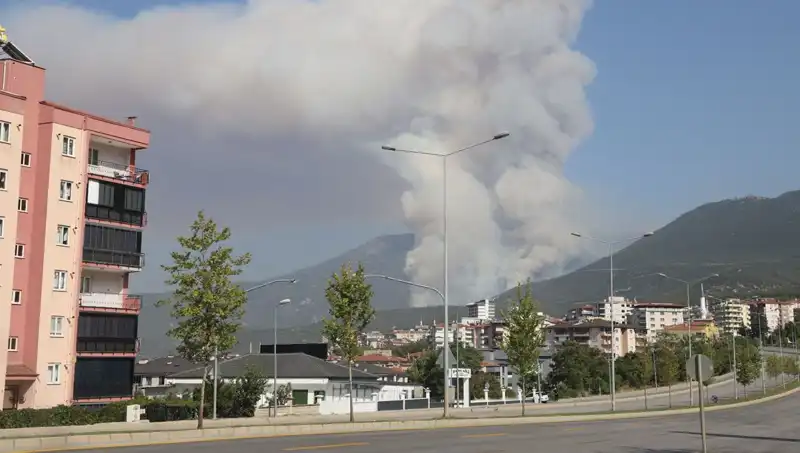 Denizli Orman Yangını: Başka Bir Facianın Eşiğinde, Şüpheli Gözaltında
