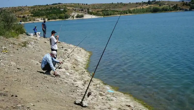 Kafesler Patladı: Baraja Koşanların Sebebi Ne?