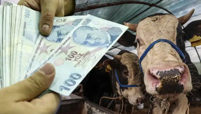 Kurban Bayramı Öncesi Maaşlar Yatacak mı? Emeklilere Müjdeli Haber!