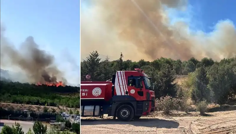 Gebze'de Meydana Gelen Orman Yangını İle İlgili Son Gelişmeler