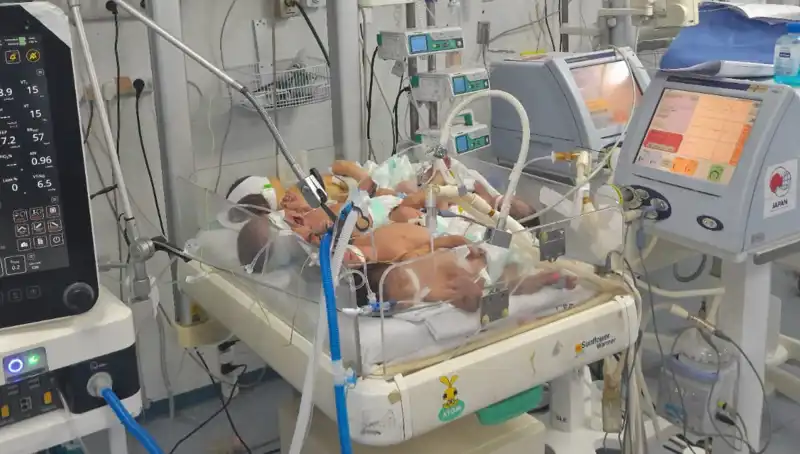 Gazzeli Doktorların Çağrısı: "Birden Fazla Bebek Aynı Kuvözde!"