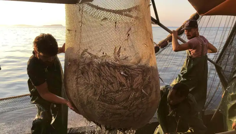 Balıkçılar Çalışmayı Durduruyor: İhlallere Yüz Binlerce Lira Ceza Uygulanacak!