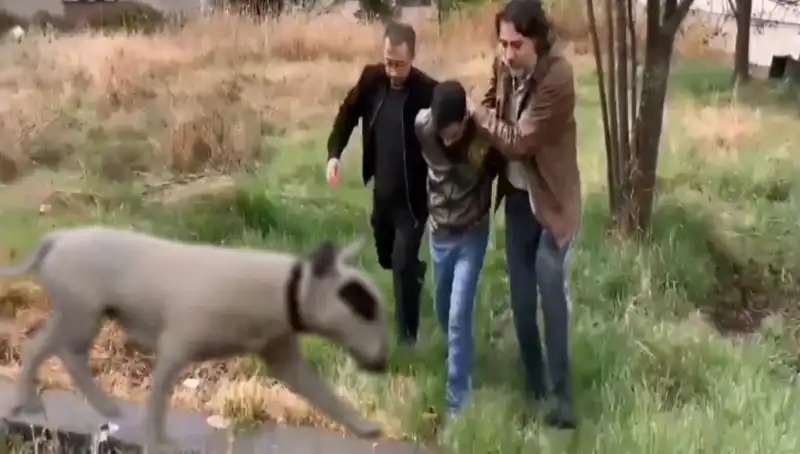 430 Bin Lira Değerindeki Şampiyon Köpek Hırsızlığı Gün Yüzüne Çıktı