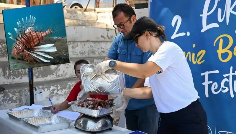 Antalya'da İstilacı Aslan Balığı Avlama Yarışması: Denizlerin Düşmanı ile Mücadele