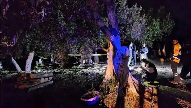 Çiftlikte Baltalı Vahşete Son: Bir Kişi Tutuklandı