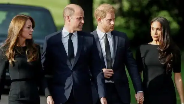 Prens William ve Harry Arasındaki Dargınlık: Affedemediği Konular Neler?