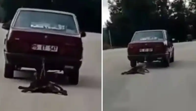 Otomobilin Arkasında Sürüklenen Köpek: Sahibi Ne Düşünüyor?