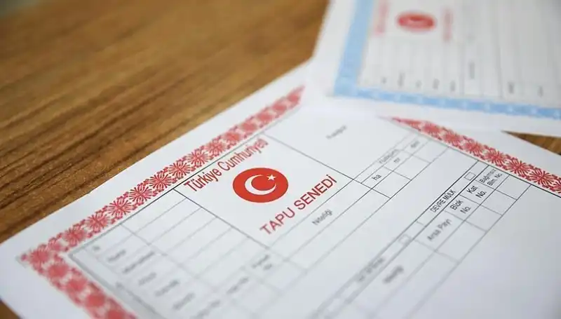 100 Milyonluk Dolandırıcılık: Hisseli Tapu Yalanıyla Tuzağa Düşenleri İfşa Ettik!