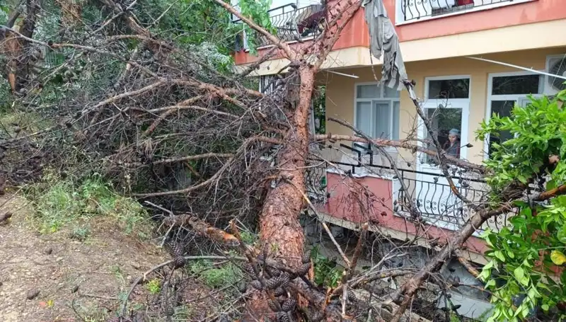 Yağmur Sonrası Güçsüz Bina: Çöken Yapının Ardındaki Gerçekler