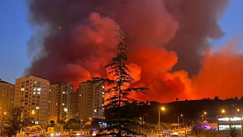 Bursa’da Yangınlar Neden Şehri Tehdit Altında Bırakıyor?