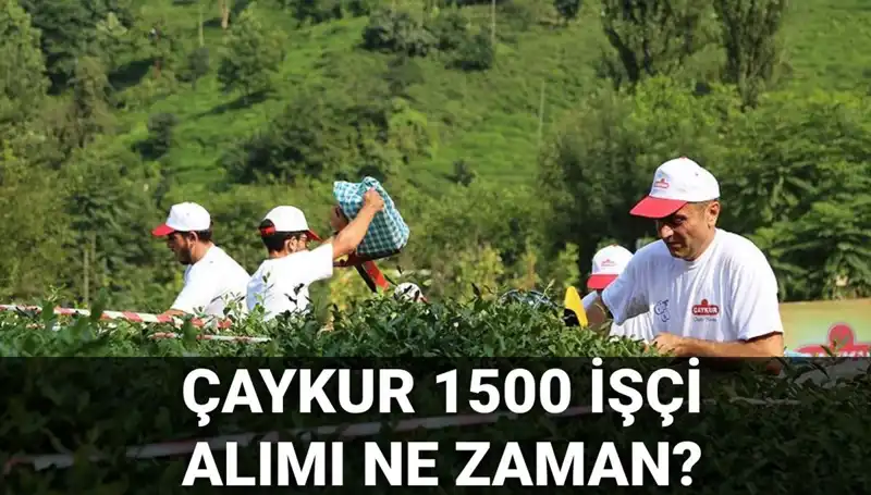 Çaykur İşçi Alımı Başvuruları Başladı: Son Tarihler ve Detaylar Neler?