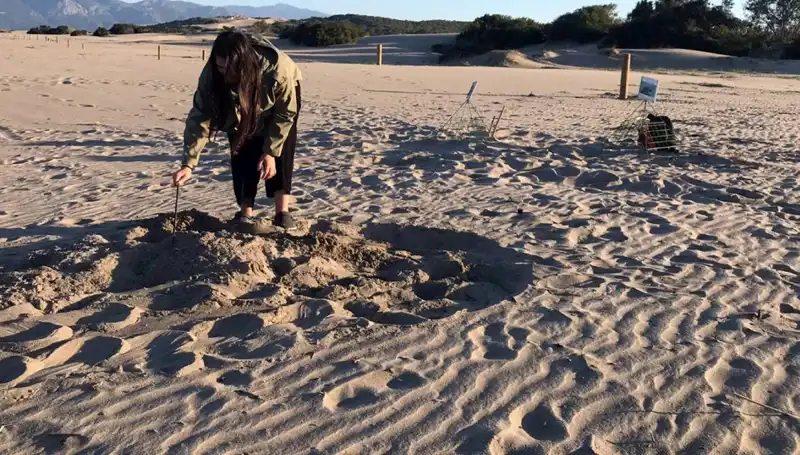 Türkiye’de Gece Plažalarına Giriş Yasaklandı: Cezası 557 Bin TL