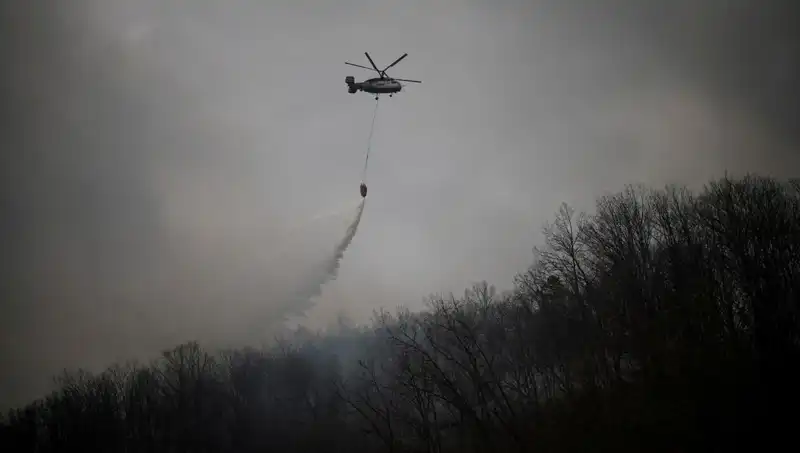 Güney Kore'de Helikopter Kazası: Yangın Söndürme Uçağı Düştü, 1 Kişi Hayatını Kaybetti