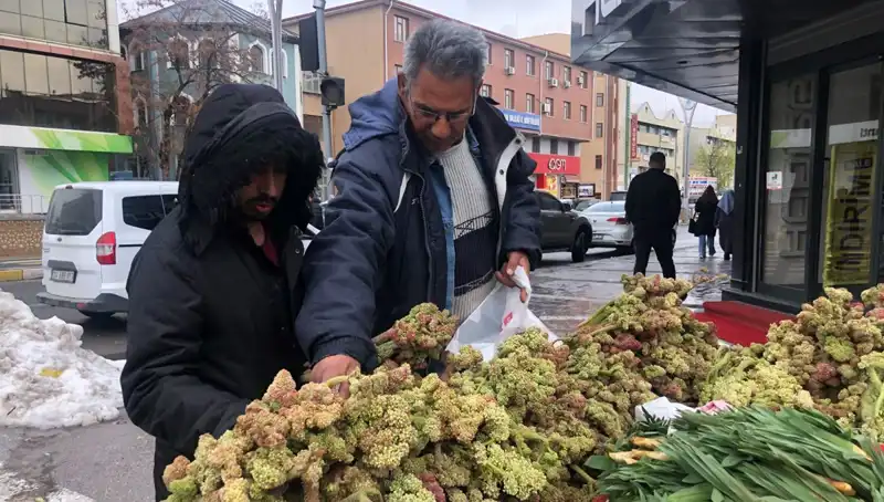 Kendiliğinden Yetişen Vitamin Deposunu Keşfettik: Kanserin Yeni İlacı Mı?