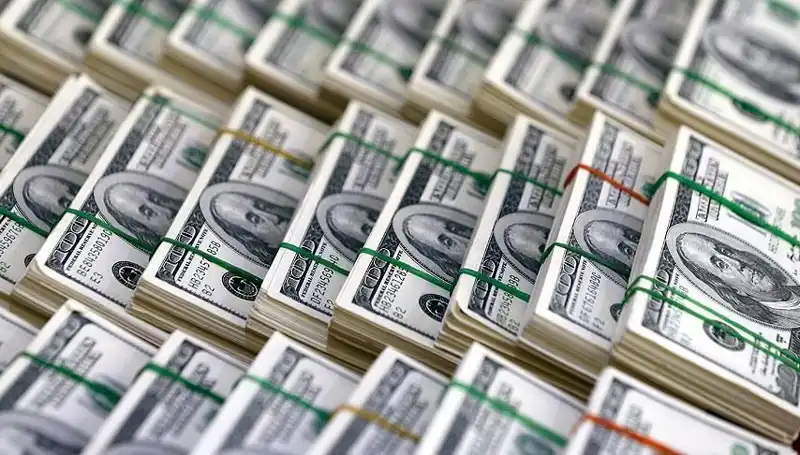 Doların Hızla Yükselmesi: Ekonomik Pencereden Son Gelişmeler