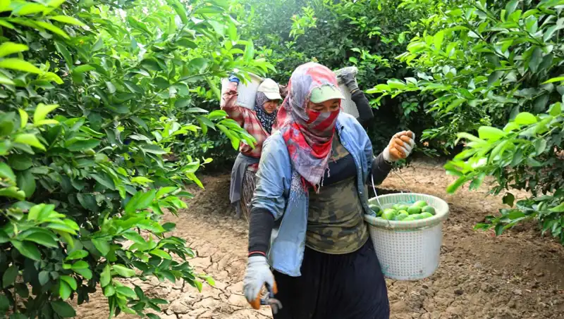 Fiyatlar Uçuşa Geçti! Marketlerde Gıdaya Zam Yağmuru Başladı