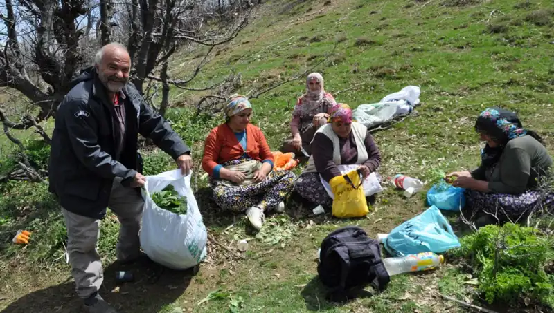 Yürüyerek Topladıkları Mantarla Geçim Sağlıyorlar: Kilosu 250 Lira