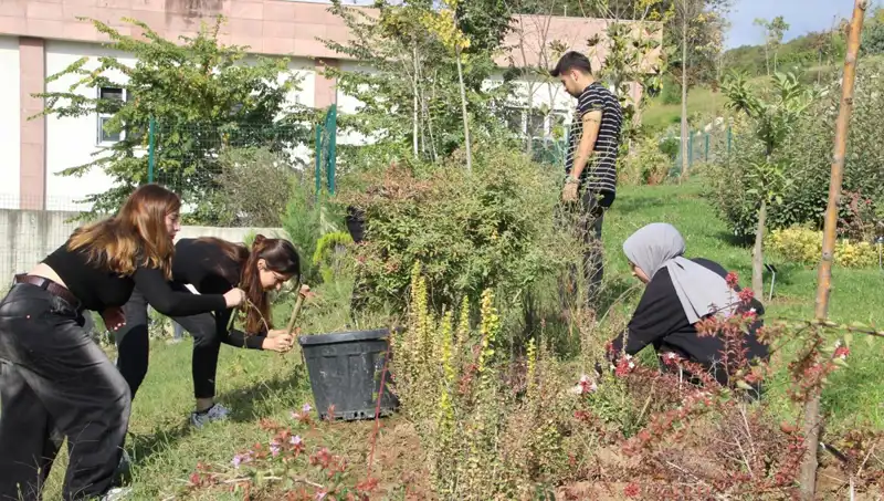Düzce'nin Gururu: Hayalden Gerçeğe Dönüşen Bir Başarı Hikayesi