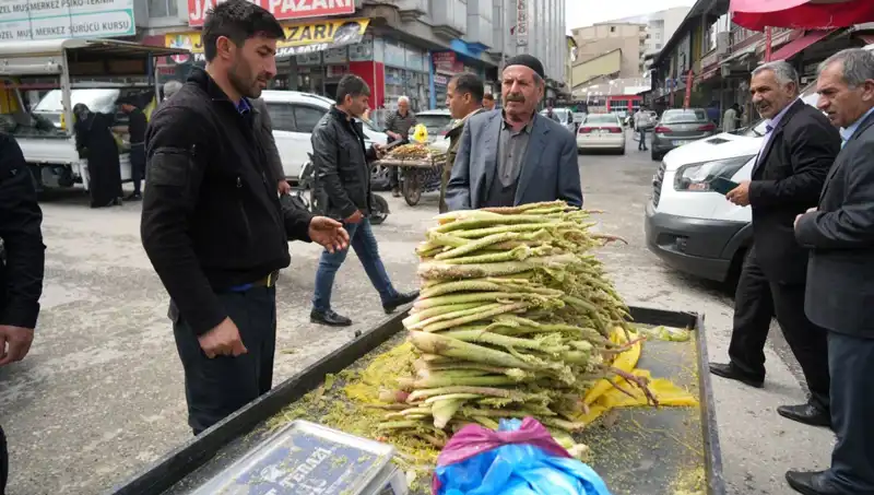 Dağlık Alanların Gizemli İyisi: Şekerin Kanser ve Mide Hastalıklarındaki Rolü