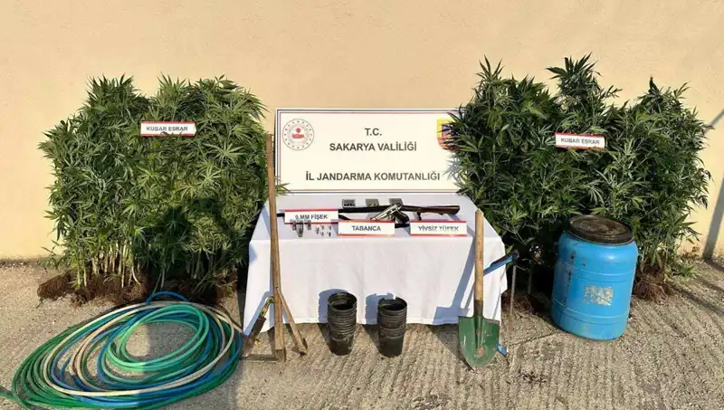 Sakarya'da Uyuşturucu Operasyonu: 1 Şahıs Tutuklandı, Ne Oluyor?
